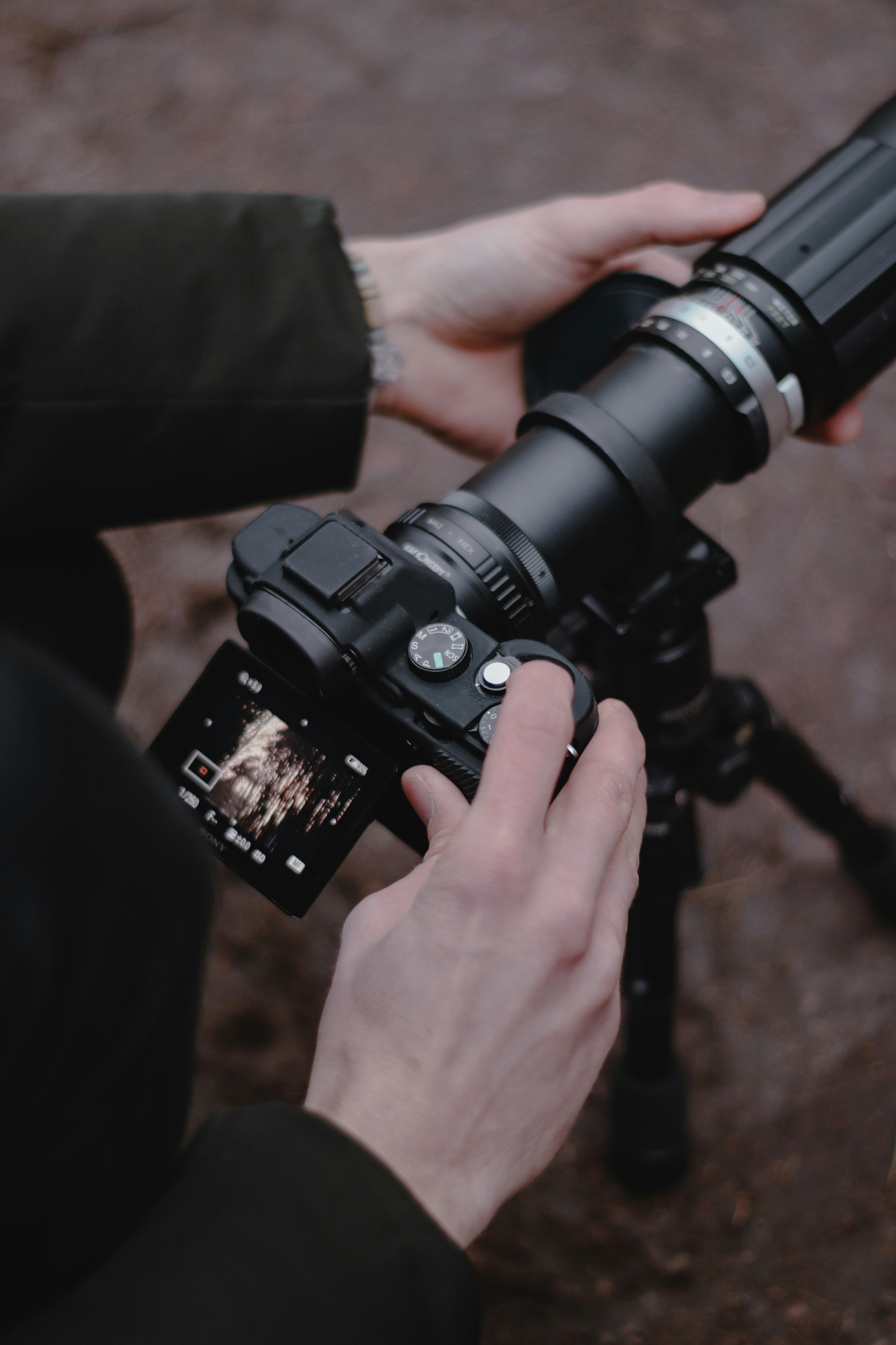 person holding black dslr camera